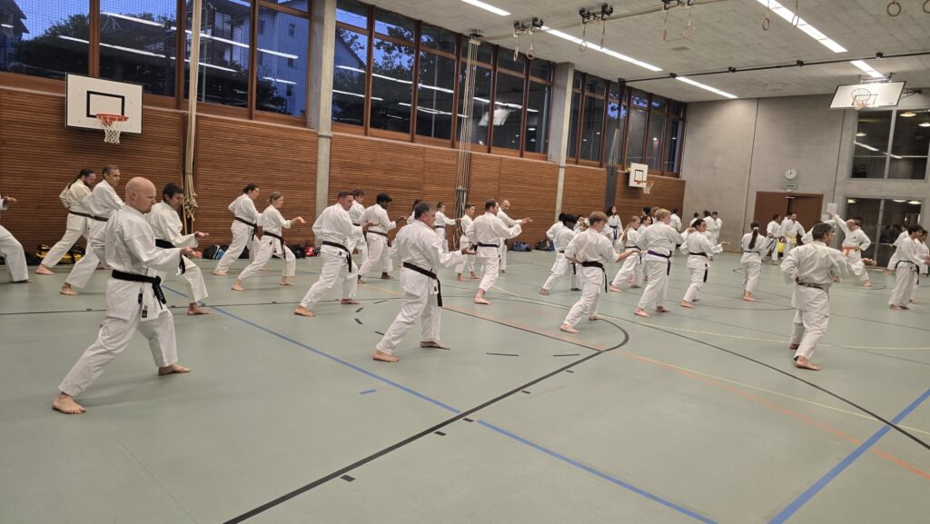Shotokan Karate Training in der Kampfsportschule Aarau.