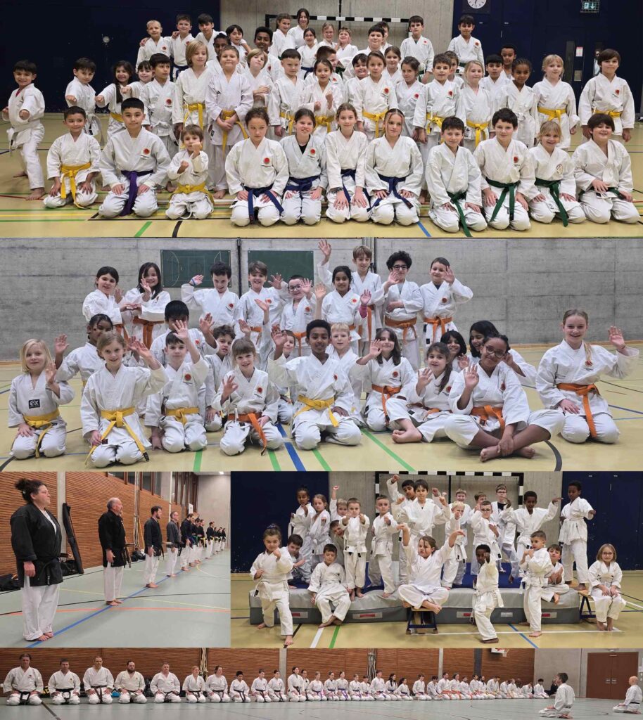 Karate Aarau Weihnachtstraining 2025 1