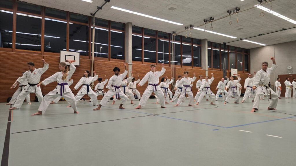 Karate Aarau Weihnachtstraining 2025 13