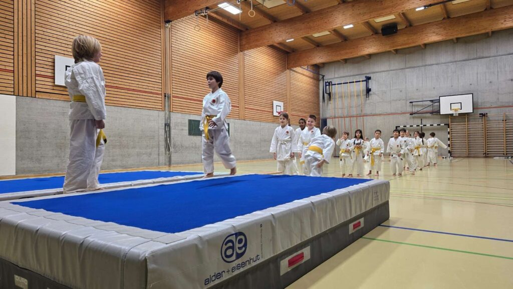 Karate Aarau Weihnachtstraining 2025 12