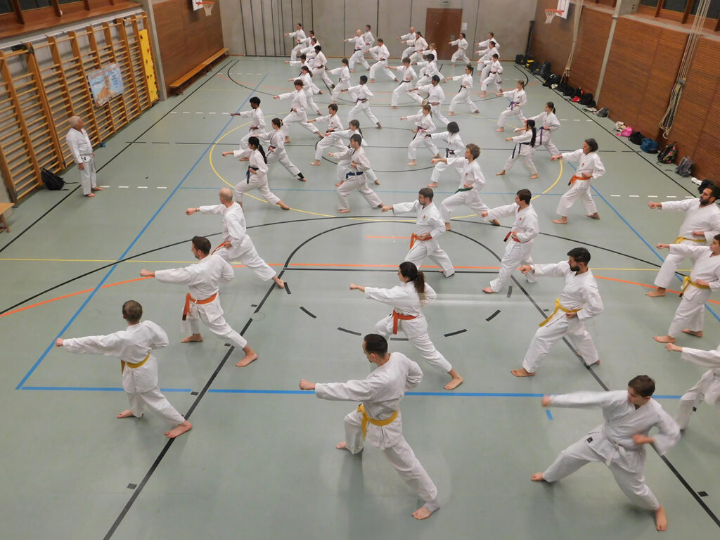 Karate Aarau Spezialtraining mit SKR-Chefinstrukor Tommaso Mini