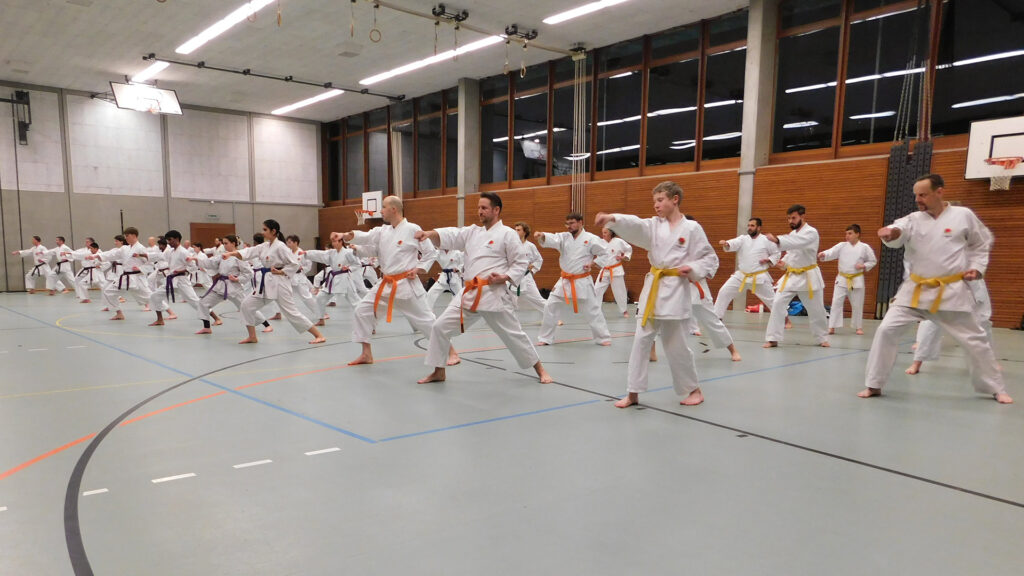 Karate Aarau Spezialtraining mit SKR-Chefinstrukor Tommaso Mini