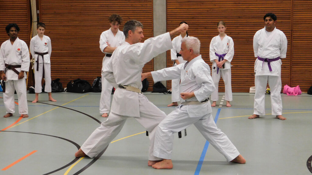 Karate Aarau Spezialtraining mit SKR-Chefinstrukor Tommaso Mini. Auf dem Bild mit Michael Waldmeier, Head-Instruktor der Kampfsportschule Aarau