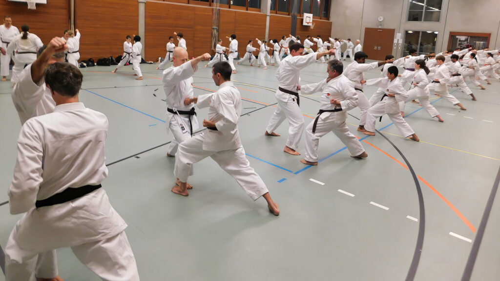 Karate Aarau Spezialtraining mit SKR-Chefinstrukor Tommaso Mini
