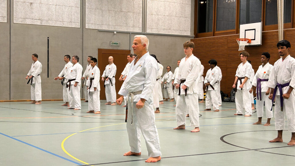 Karate Aarau Spezialtraining mit SKR-Chefinstrukor Tommaso Mini
