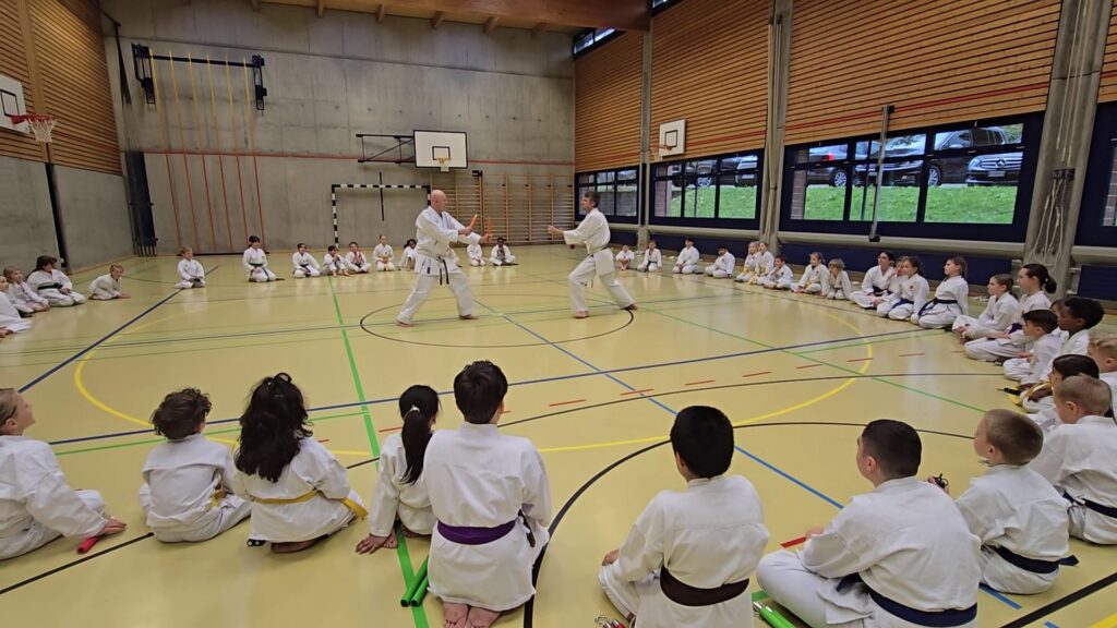 Kampfsport Aarau Kinder