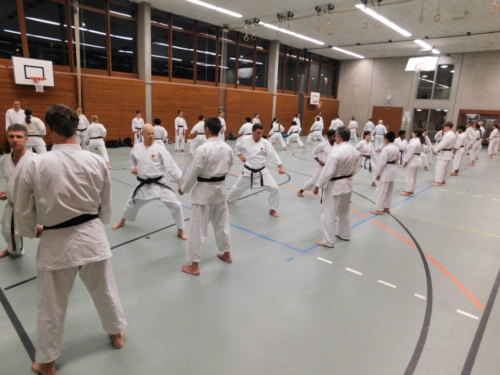 Karate Aarau Spezialtraining mit SKR-Chefinstrukor Tommaso Mini