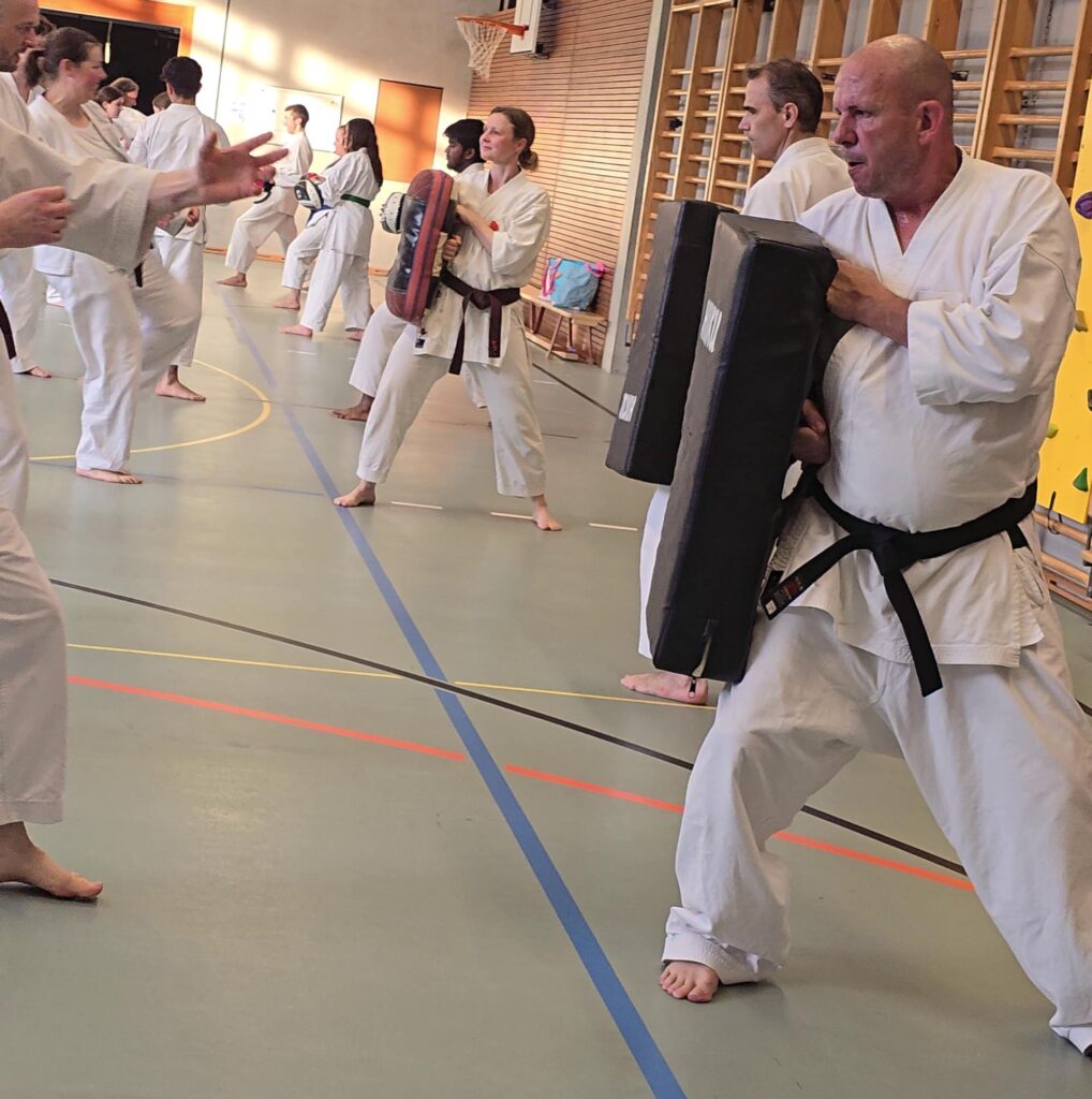 Karate Aarau Selbstverteidigung