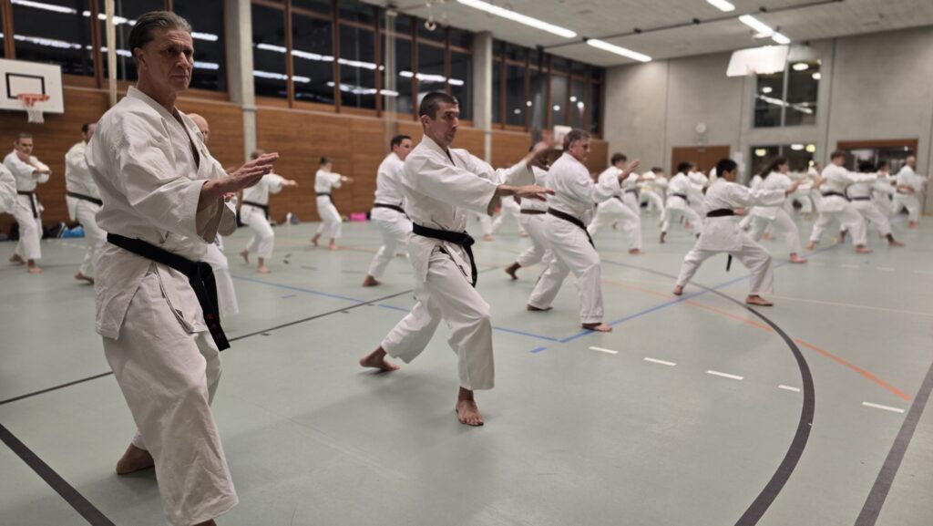 Karate Aarau Spezialtraining mit SKR-Chefinstrukor Tommaso Mini