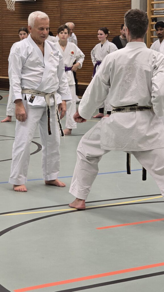 Karate Aarau Spezialtraining mit SKR-Chefinstrukor Tommaso Mini