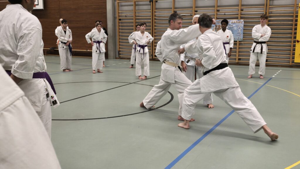 Traditionelles Karate