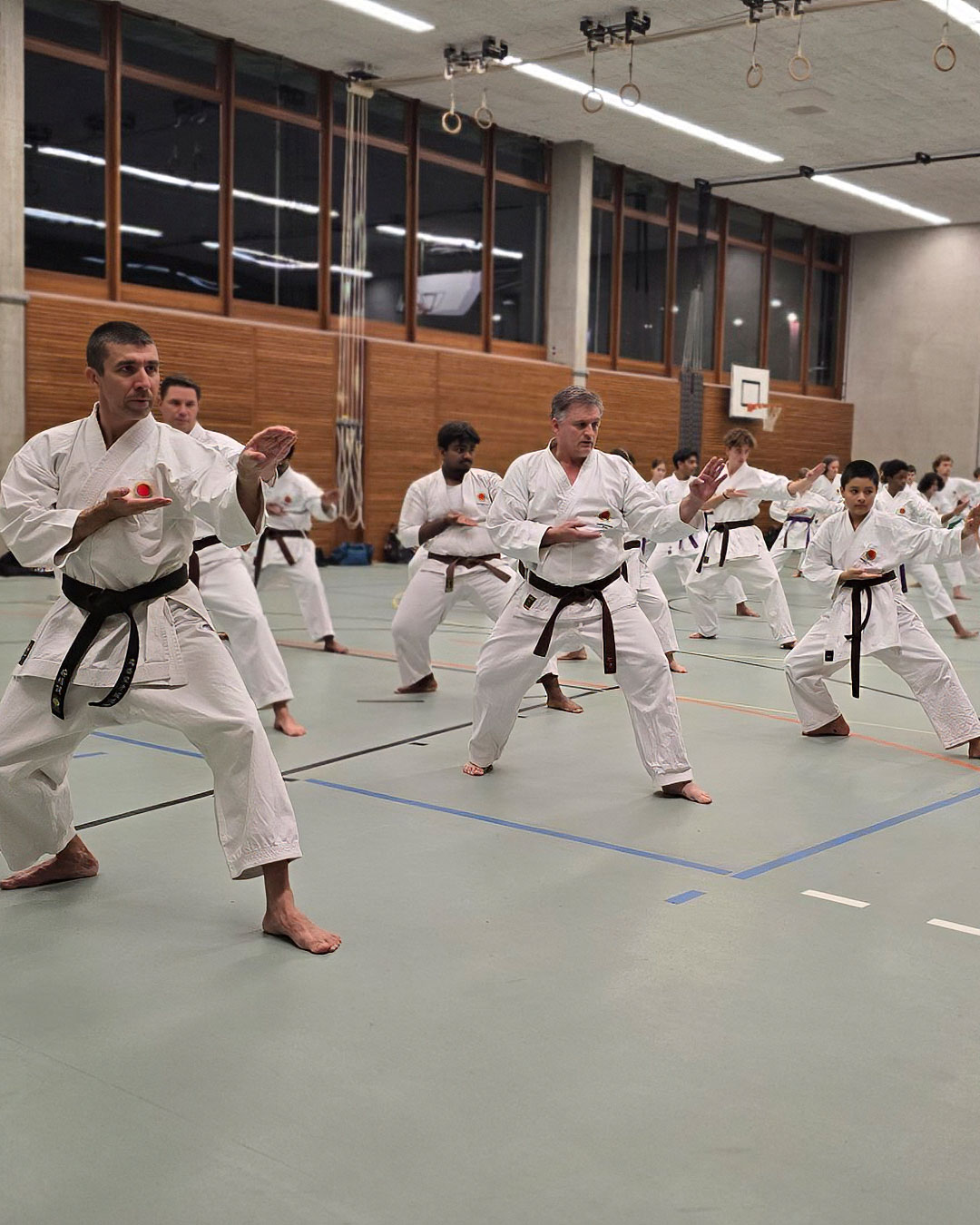 Karate Aarau 