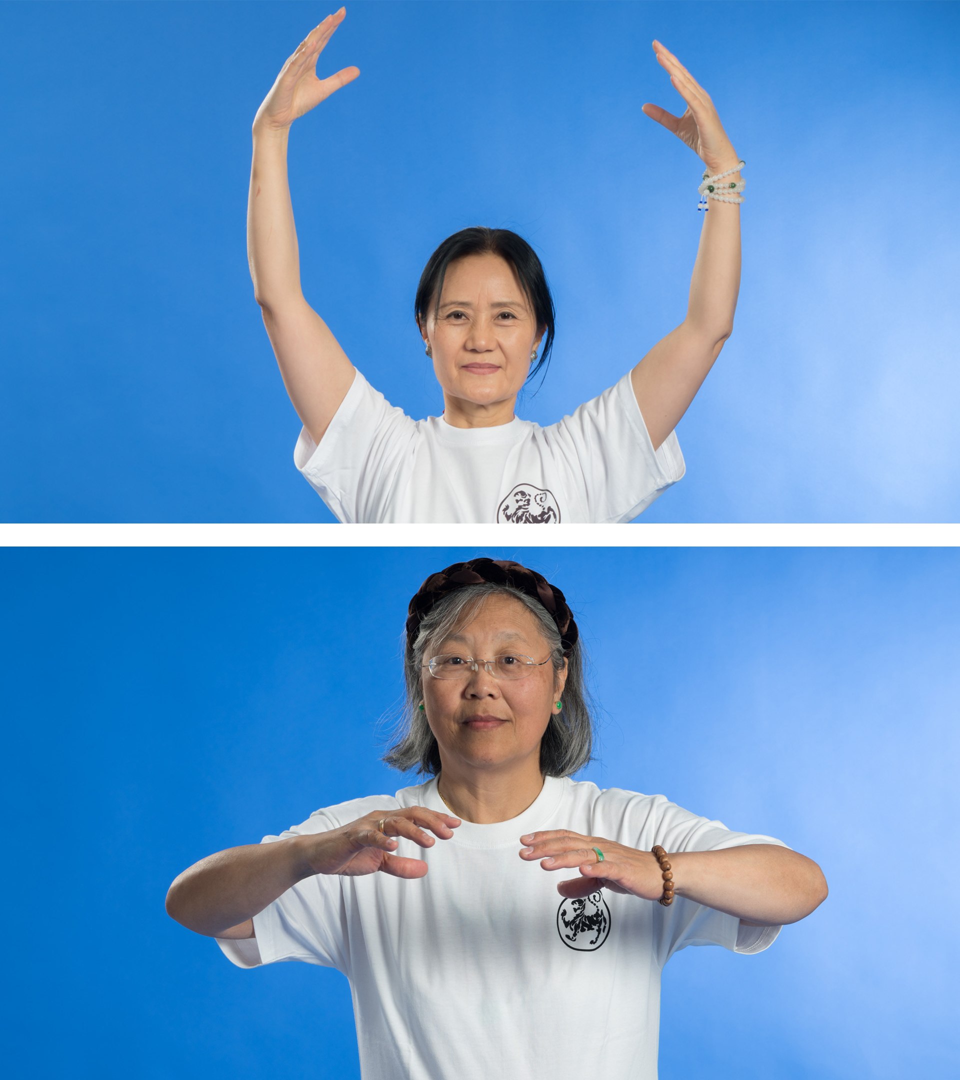 Qi Gong Aarau Brugg