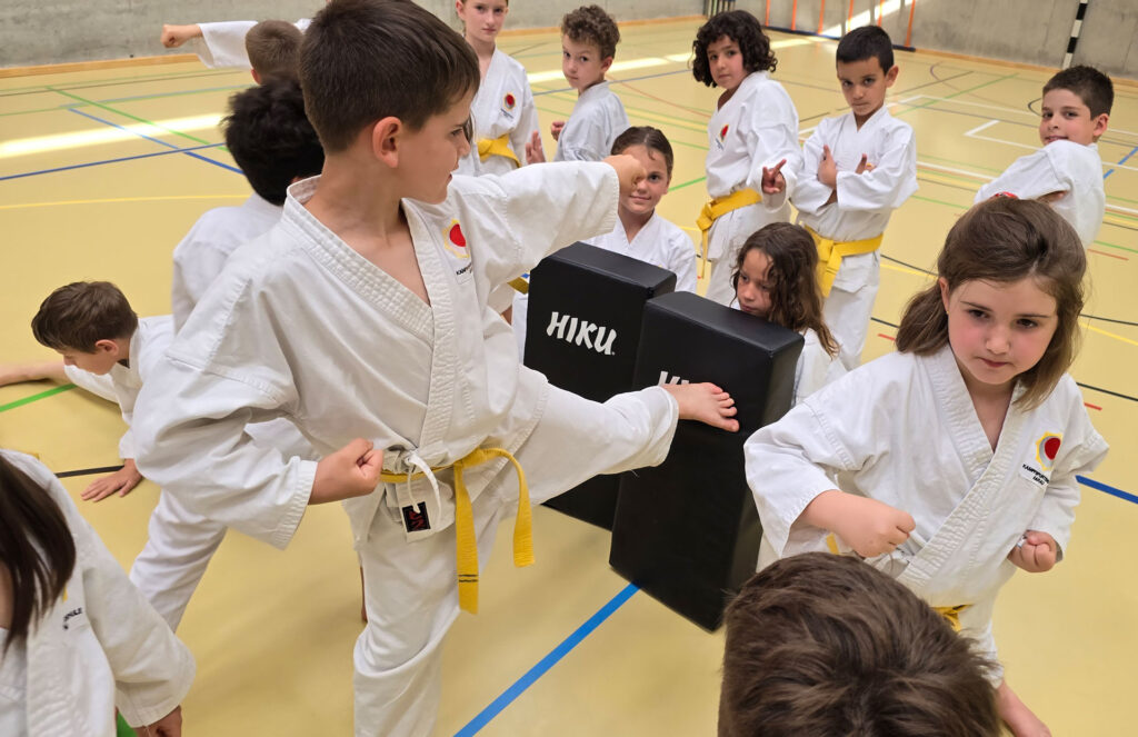 Selbstverteidigung für Kinder in Aarau