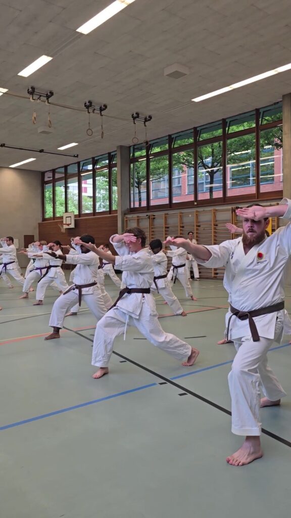 Selbstverteidigung Aarau Jugend