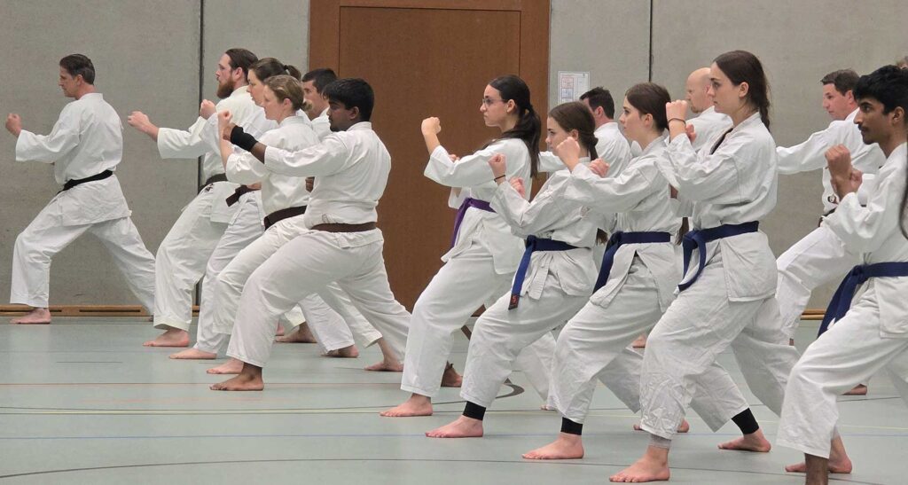 Selbstverteidigung Aarau Jugend