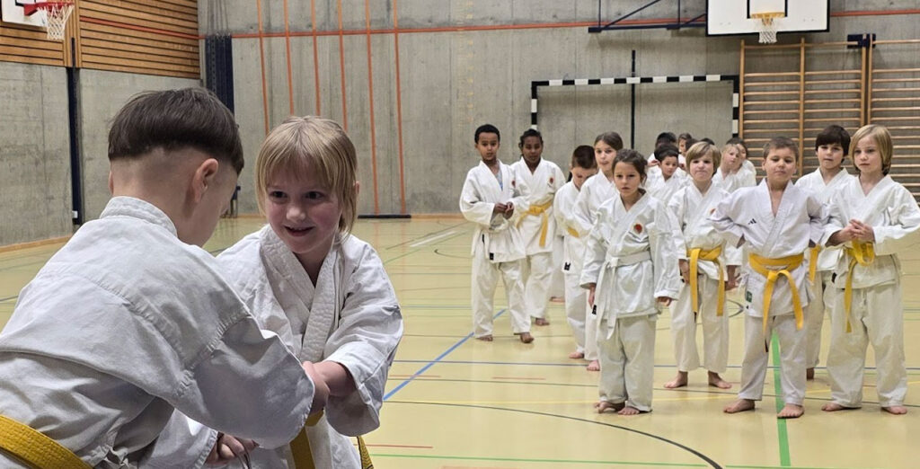 Selbstverteidigung für Kinder in Aarau: Bestandteil unseres Kinder-Karate-Trainings
