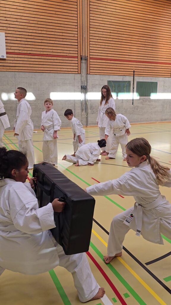 Karate Aarau Kinder Selbstverteidigung . Einsatz am Schlagpolster. Kampfsportschule Aarau