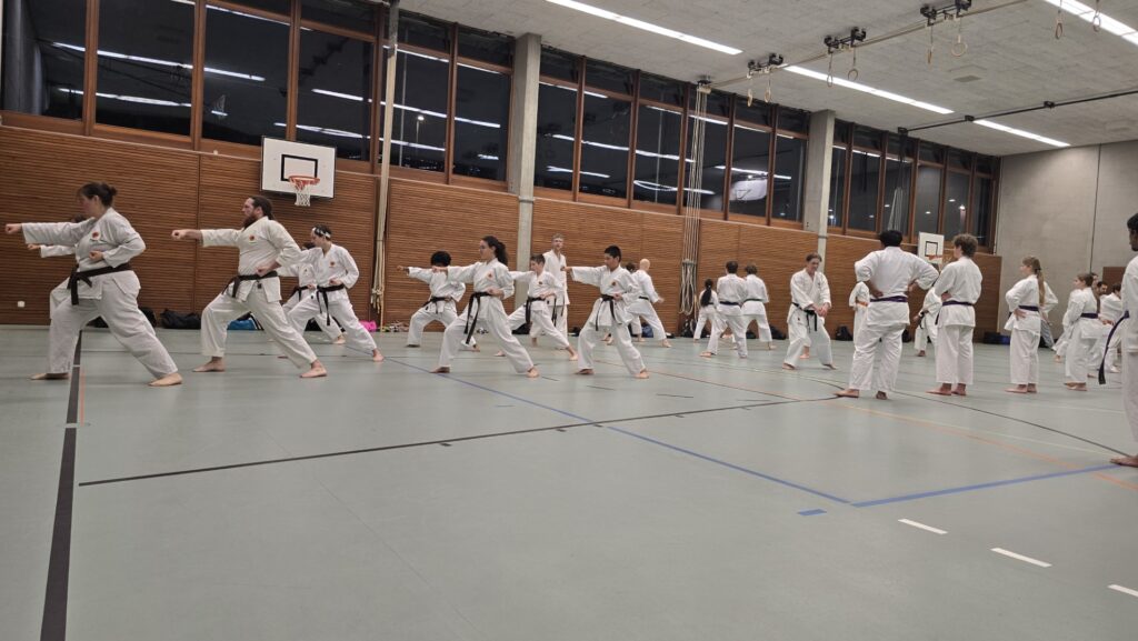 Karate Aarau Prüfungsvorbereitung Februar 2026