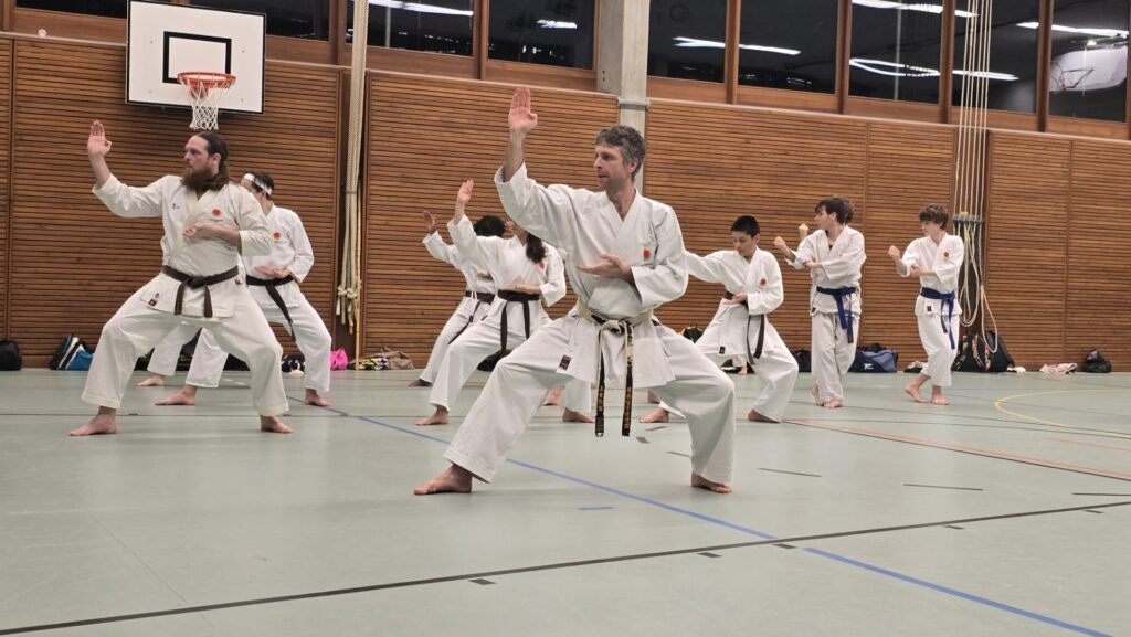Karate Aarau Prüfungsvorbereitung Februar 2026