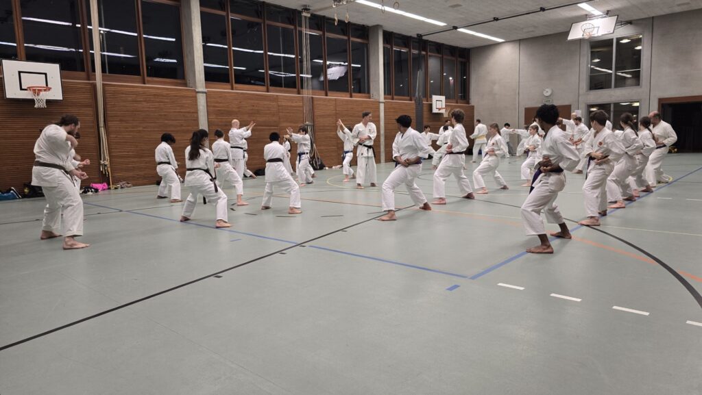 Karate Aarau Prüfungsvorbereitung Februar 2026