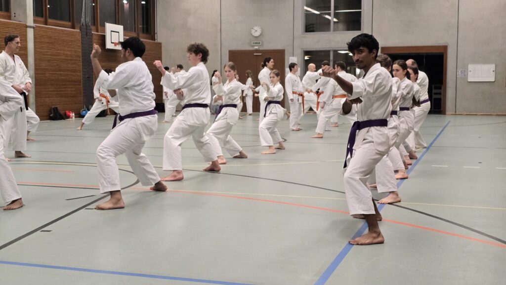 Karate in Aarau Prüfungsvorbereitung im Shotokan-Karate Februar 2026