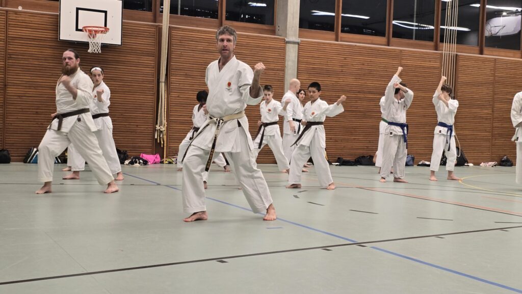 Karate Aarau Prüfungsvorbereitung Februar 2026