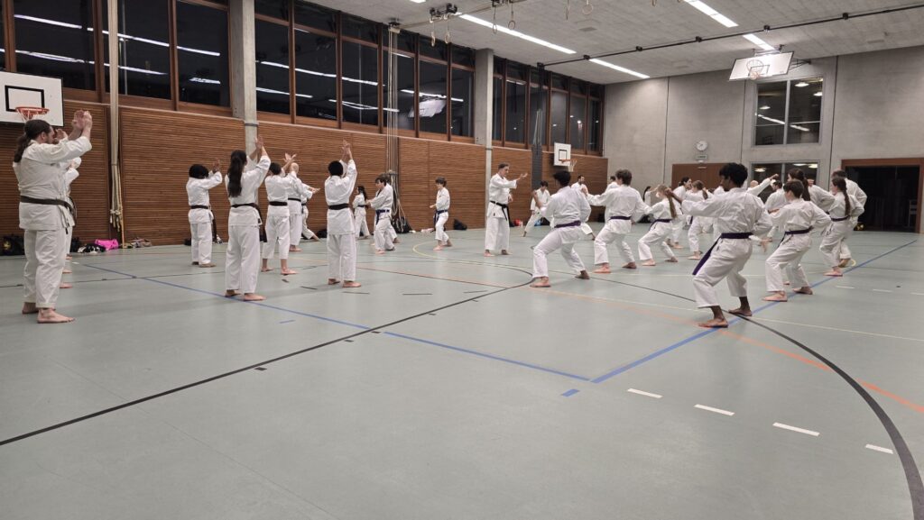 Karate Aarau Prüfungsvorbereitung Februar 2026