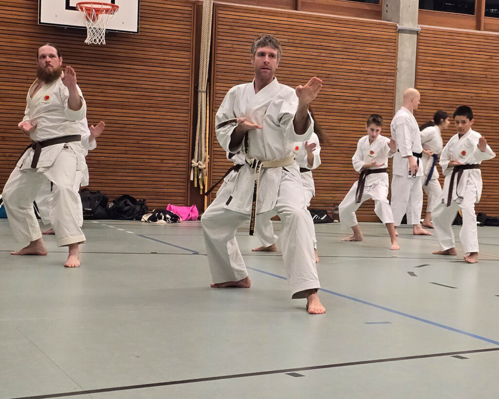 Traditionelles Karate
