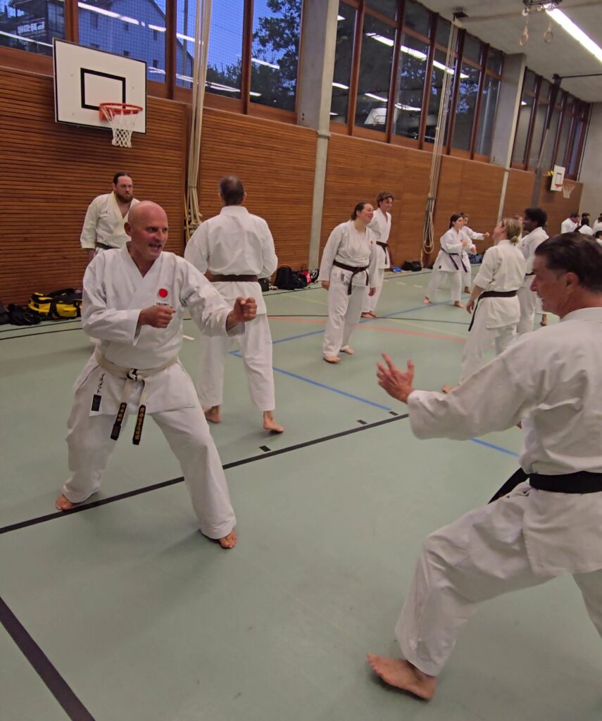 Traditionelles Karate Kinder