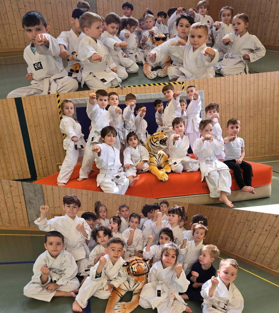 35 Jahre Kampfsportschule Aarau Karate und Kampsport - Bonsai-Karate