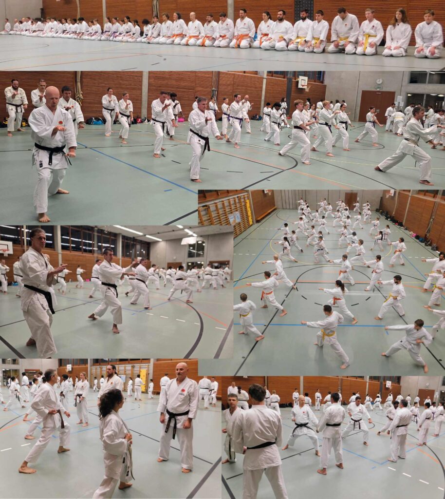 35 Jahre Kampfsportschule Aarau