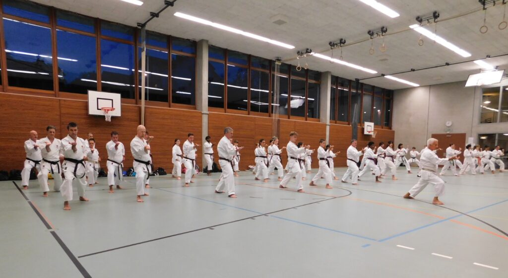 Karate-Persönlichkeit zu Gast in der Kampfsportschule Aarau mit SKR-Chefinstruktor Tommaso Mini