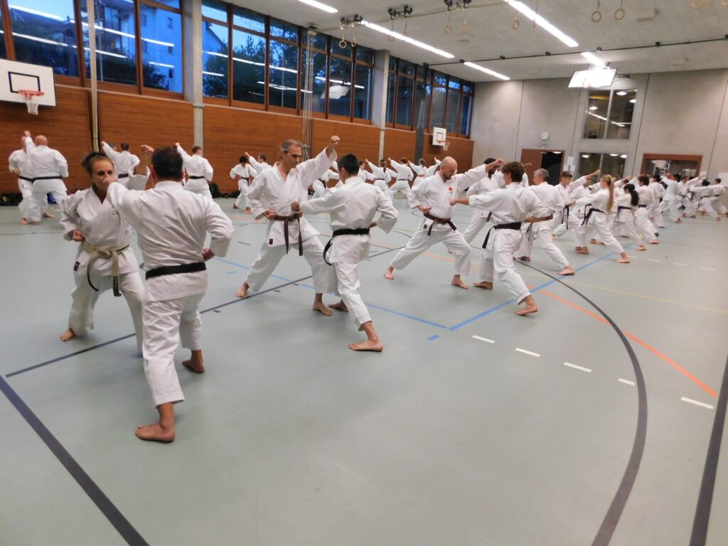 Kihon Ippon Kumi Training