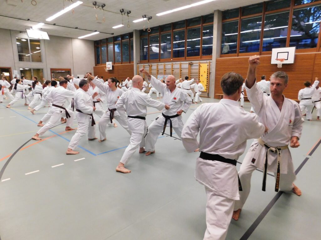 Kihon Ippon Kumite Training