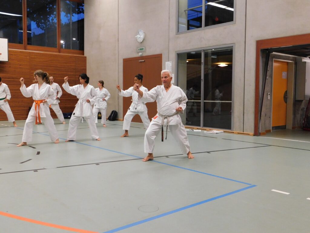 Kata Heian Shodan
