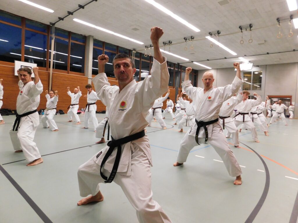 Mit der Oberstufe der Kampfsportschule Aarau wurde die Shotokan Kata Jitte geübt.