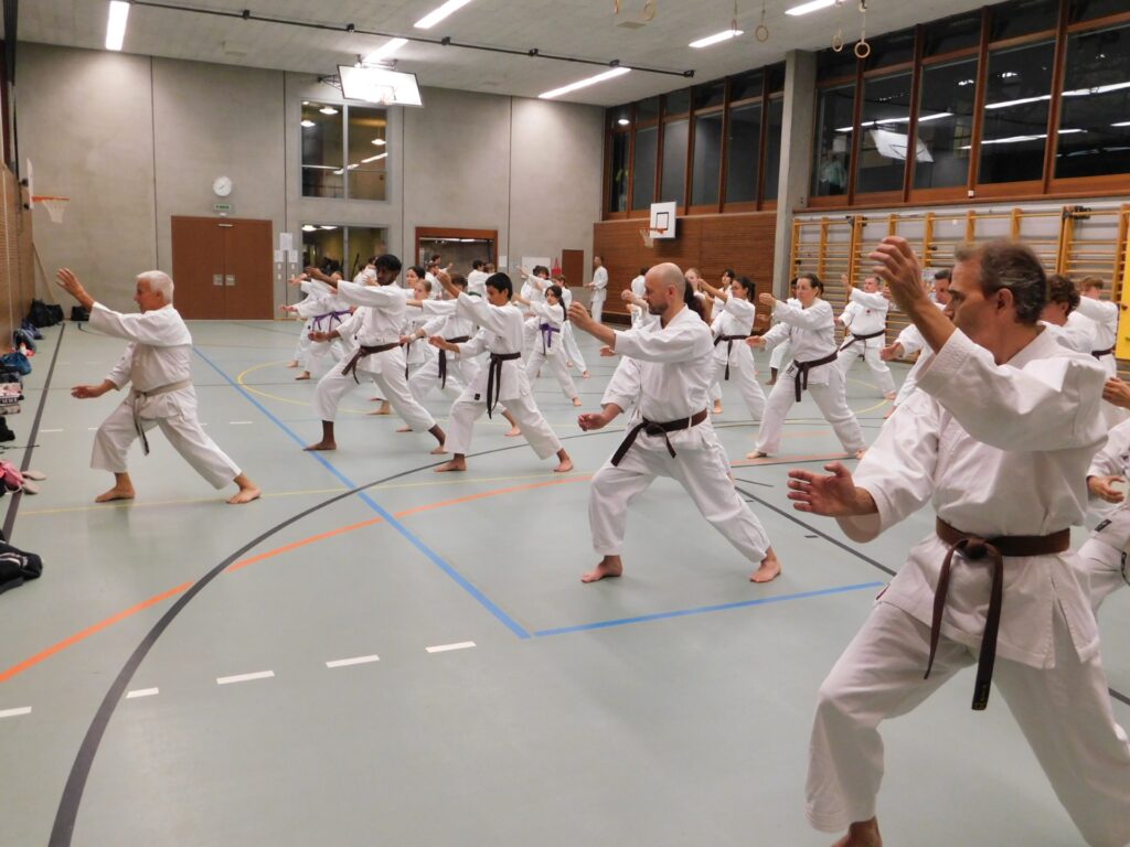 Karate-Persönlichkeit zu Gast in der Kampfsportschule Aarau mit SKR-Chefinstruktor Tommaso Mini