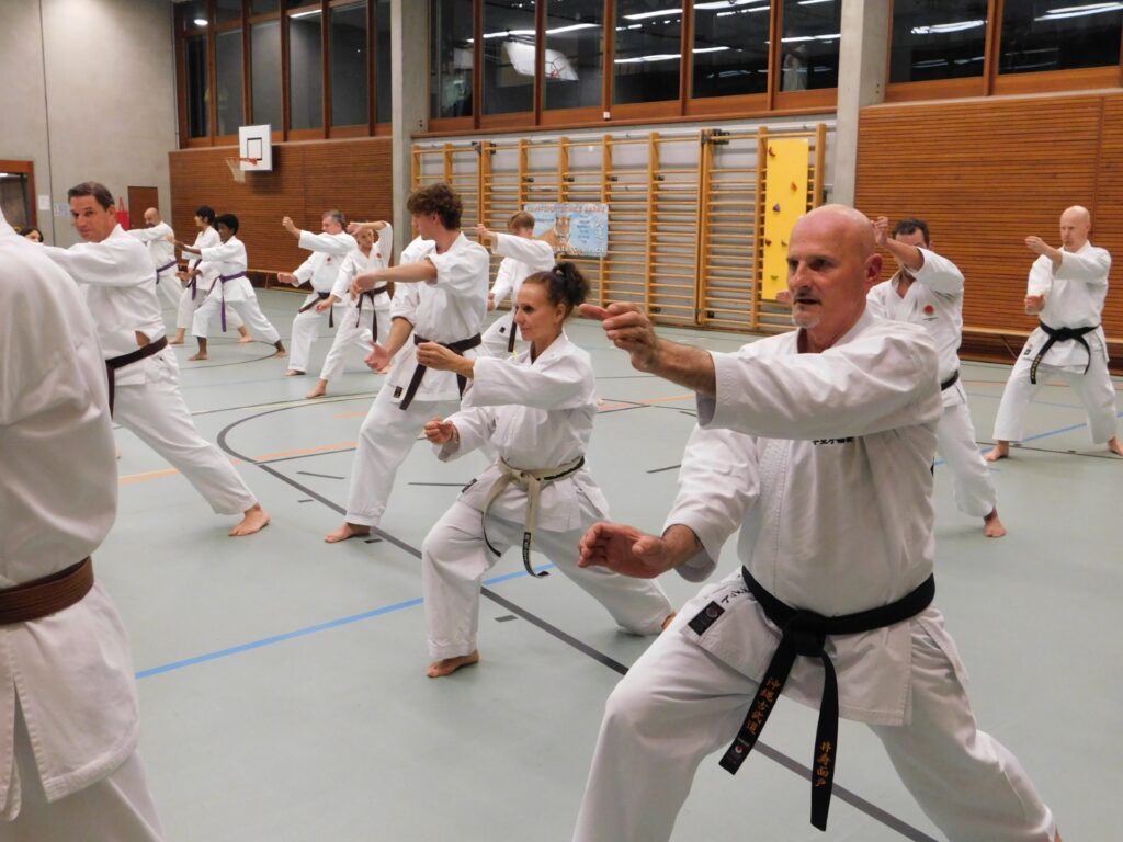 Shotokan Kata-Training