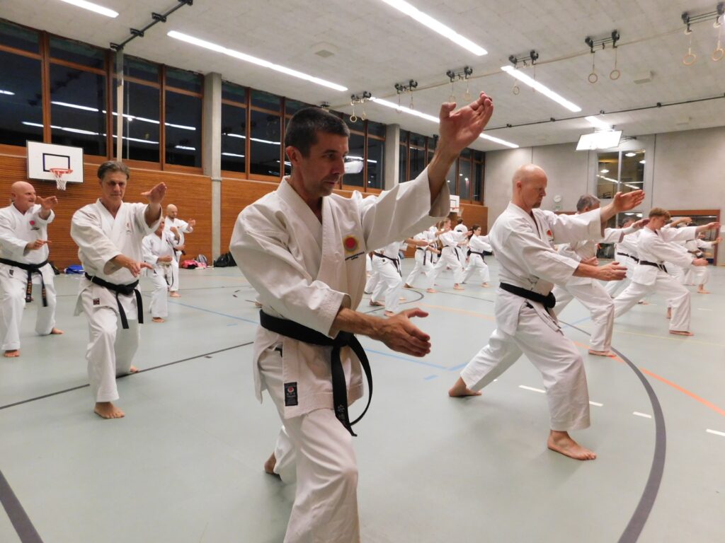 Shotokan Karate Kata Jitte